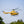 FLYWING BO-105 Klasse 470 6-Kanal Brushless-Motor GPS Höhenhalte-Scale-RC-Hubschrauber 