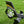 FLY WING EC-135 470 Class Scale RC Helicopter | GPS Hover, ATT Self-Leveling, 3-Speed Control, 18-Min Flight Time (PNP & RTF Versions)